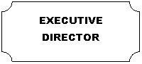ȱ�Ǿ���: EXECUTIVE DIRECTOR